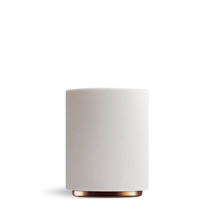 MONTY MILK ART Tazas para latte